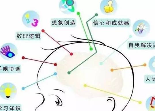 怎么促进大脑前额叶皮层重新生长 1adcb42459734bff8db66c56f0467328.jpeg