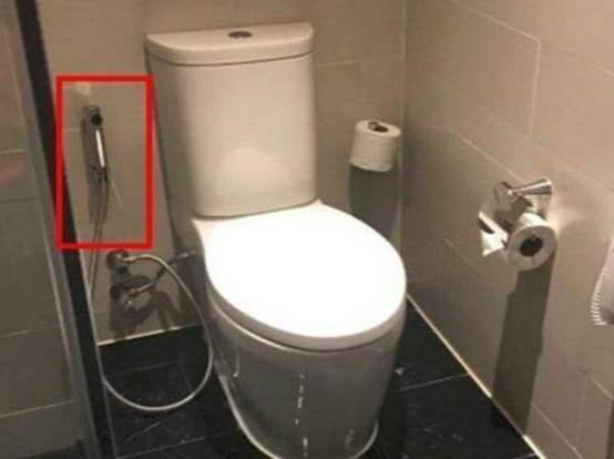 去泰国旅游，厕所马桶旁的软管是做什么用的？答案让人很害羞