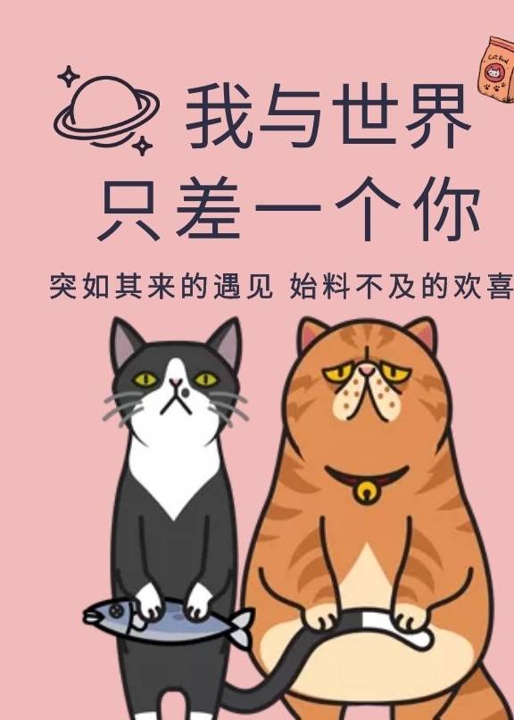 因为普普通通的狸花猫，却受到老外的疯狂追捧，还不是因为这些原因