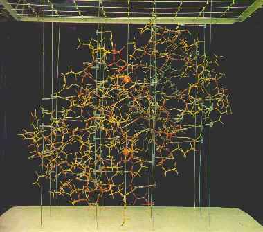 原创结晶牛胰岛素我国唯一一次离诺贝尔奖最近最终为何失之交臂