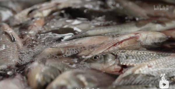 汤汁|各地“”早餐馋哭千万人，别说吃过了，就问你听过几个？