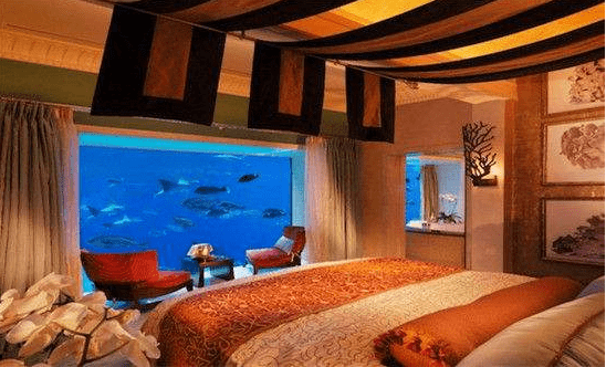 世界上最奇特的旅馆，能与石斑鱼共舞，还能与珊瑚礁鲨“共眠”