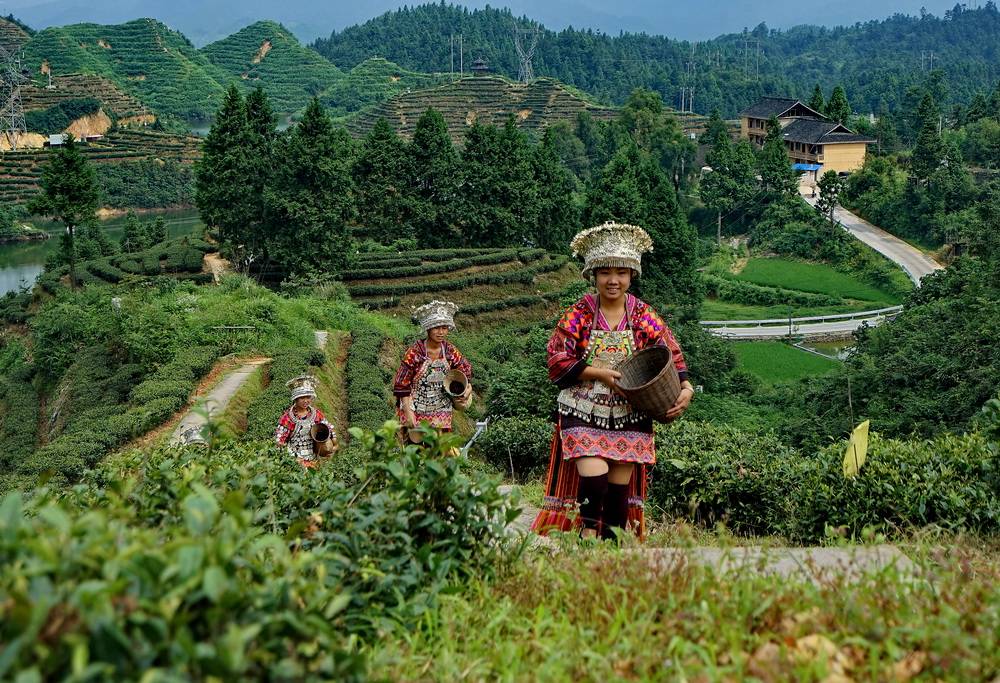 视频|自媒体困惑：旅游自媒体越来越难，谁还在坚持，还想走多远