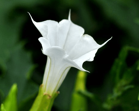 deb78f88a74f4fcbab7dc7e4faa833b8.png