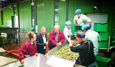 酿酒|廖晓燕：我与中国葡萄酒的不解情缘