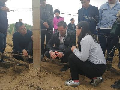 酿酒|廖晓燕：我与中国葡萄酒的不解情缘