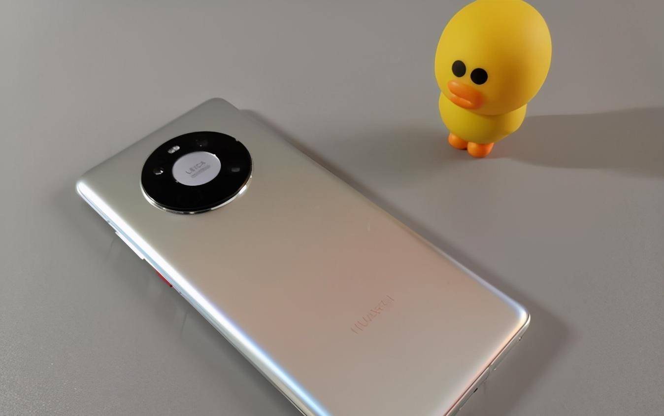 小米寿命有多长 6e76e998f52b450c80f1b6095af048c7.jpeg