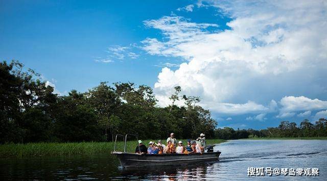 有人说，掉进亚马逊河活不过一分钟，亚马逊河到底有多可怕？