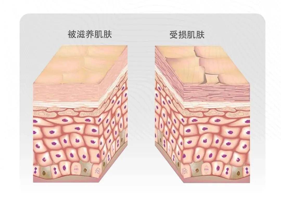 海洋生物博益姿双萃精华 | 补水保湿抗衰老,拯救熬夜肌敏感肌不输千元大牌