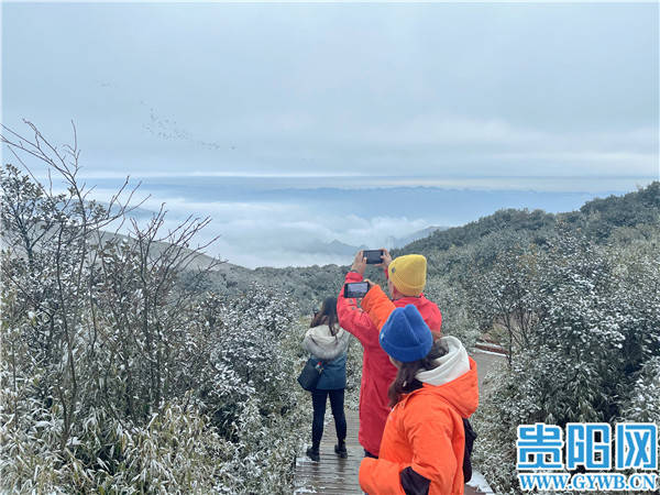 景区|银装素裹！贵州屋脊韭菜坪景区磅礴醉人