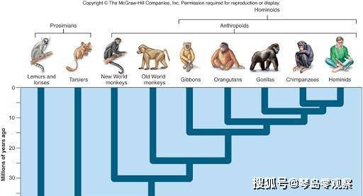 e21cca4a505a40a2a348e4beec47aae8.jpeg