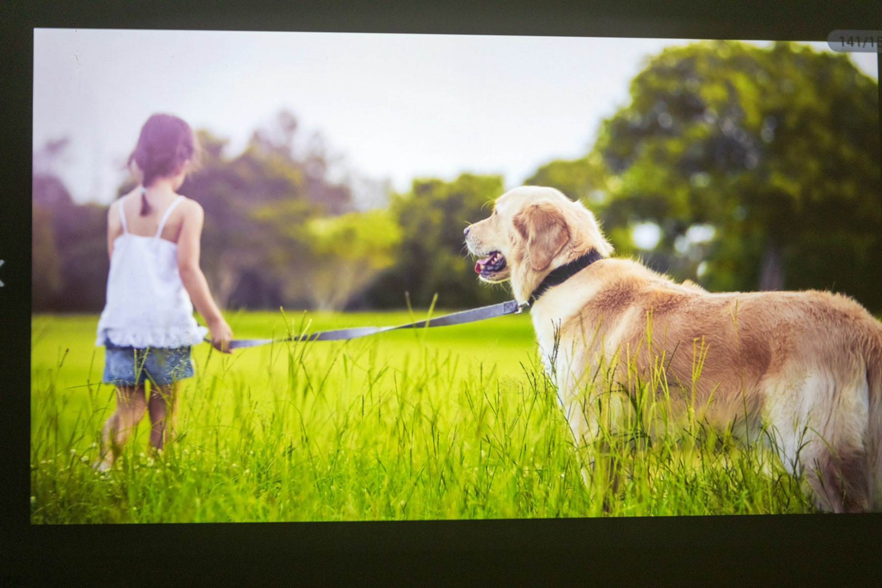 春节假期，把“电影院”搬回家，泰捷WEBOX T1S 投影仪全面评测