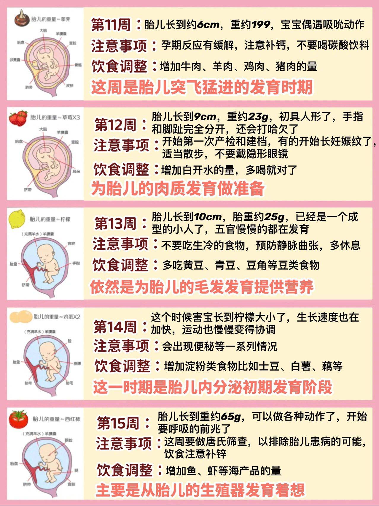 大脑|怀孕40周胎儿每周的发育变化及孕妈注意事项