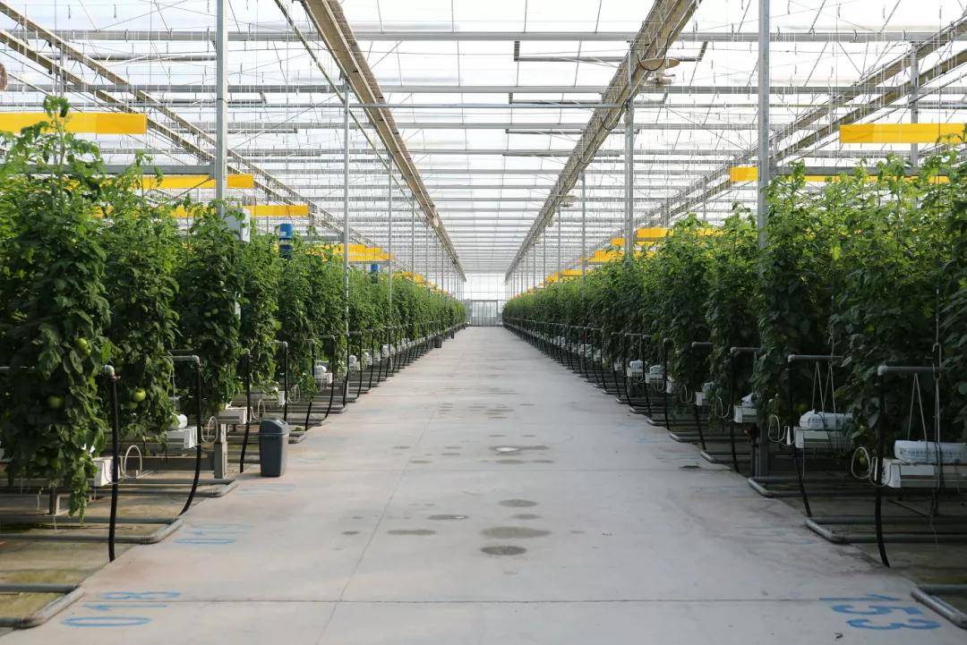 2022年一季度农业农村重大项目京东农业科技示范产业园开工仪式隆重