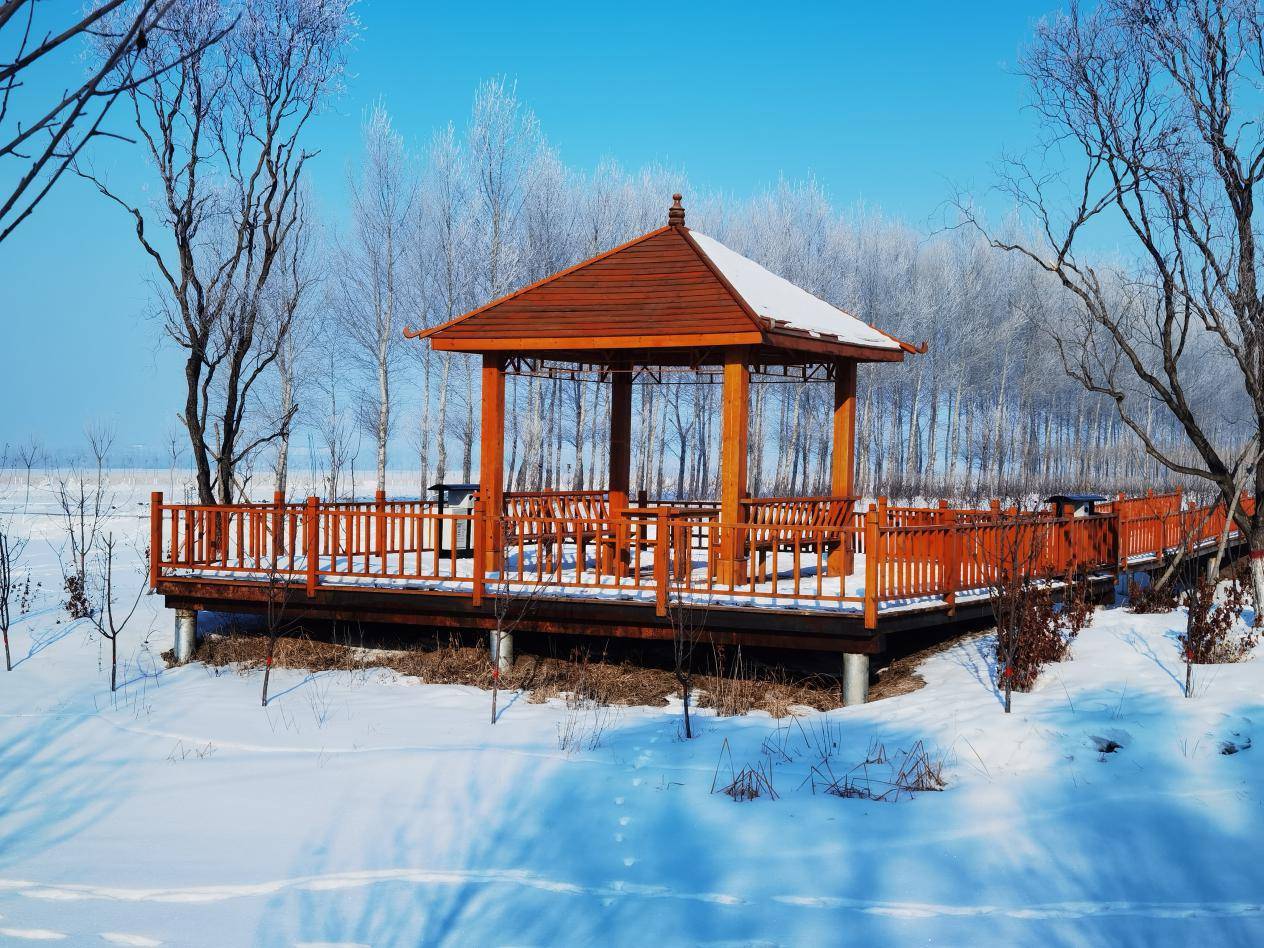 黑龙江明水致富产业建村头村民生活有奔头