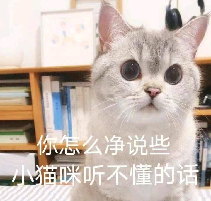 什么|原来养猫会得这些“病”，为什么养的人还是那么多？