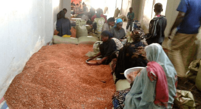 原创位于非洲西部粮食无法自给塞内加尔为何成为花生出口大国