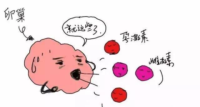 二,宫颈病变也会引起绝经后阴道出血,要做宫颈癌筛查,根据结果再进行