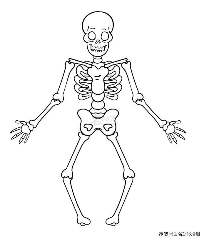 人物骨架画法图片