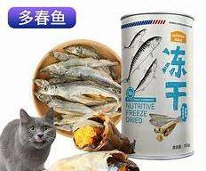 猫咪|猫冻干什么牌子好，猫咪最爱吃的猫冻干