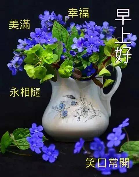 2月11日正月十一最新早上好鮮花唯美動態祝福圖片 新版微信早安問候語