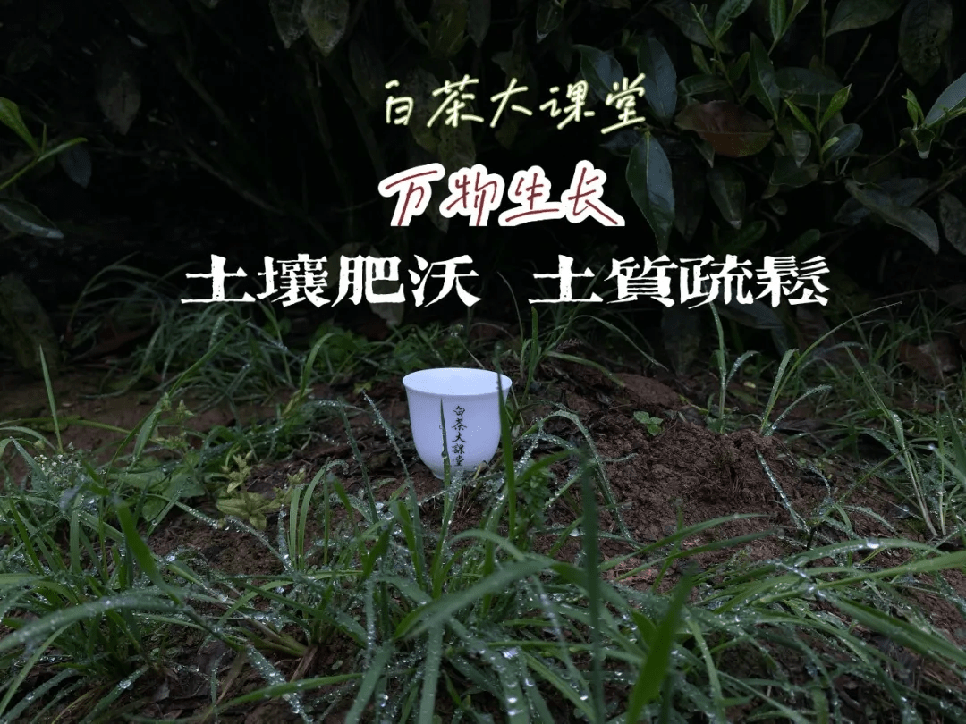 f7d85c5db4034f978b1cdb62a2808b85.png