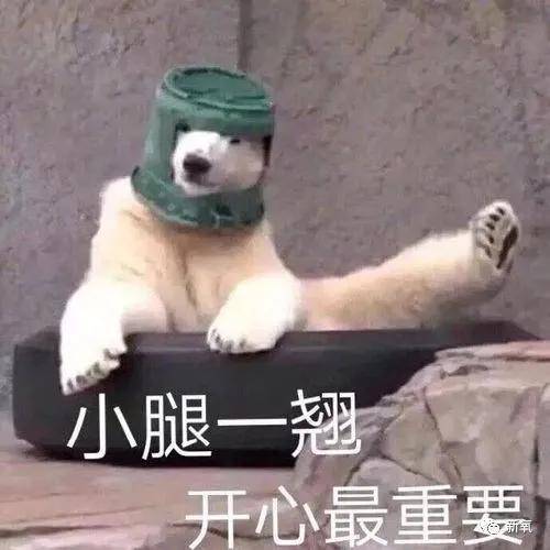 对比鼻基底对面部的影响有多大?