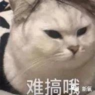 对比鼻基底对面部的影响有多大?