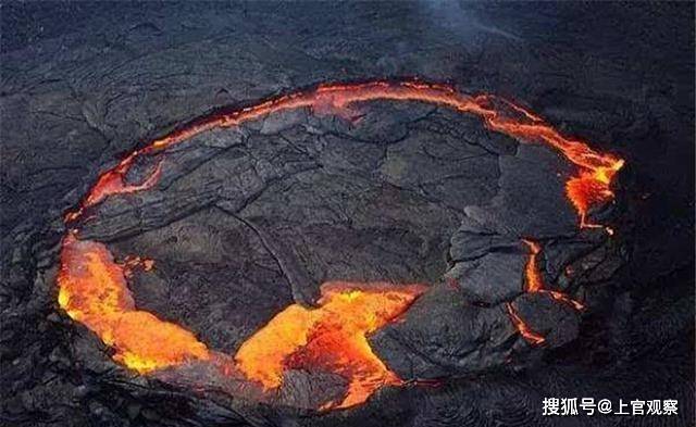世界上最不怕热的生物，能在火山岩浆里畅游，不是水熊虫！