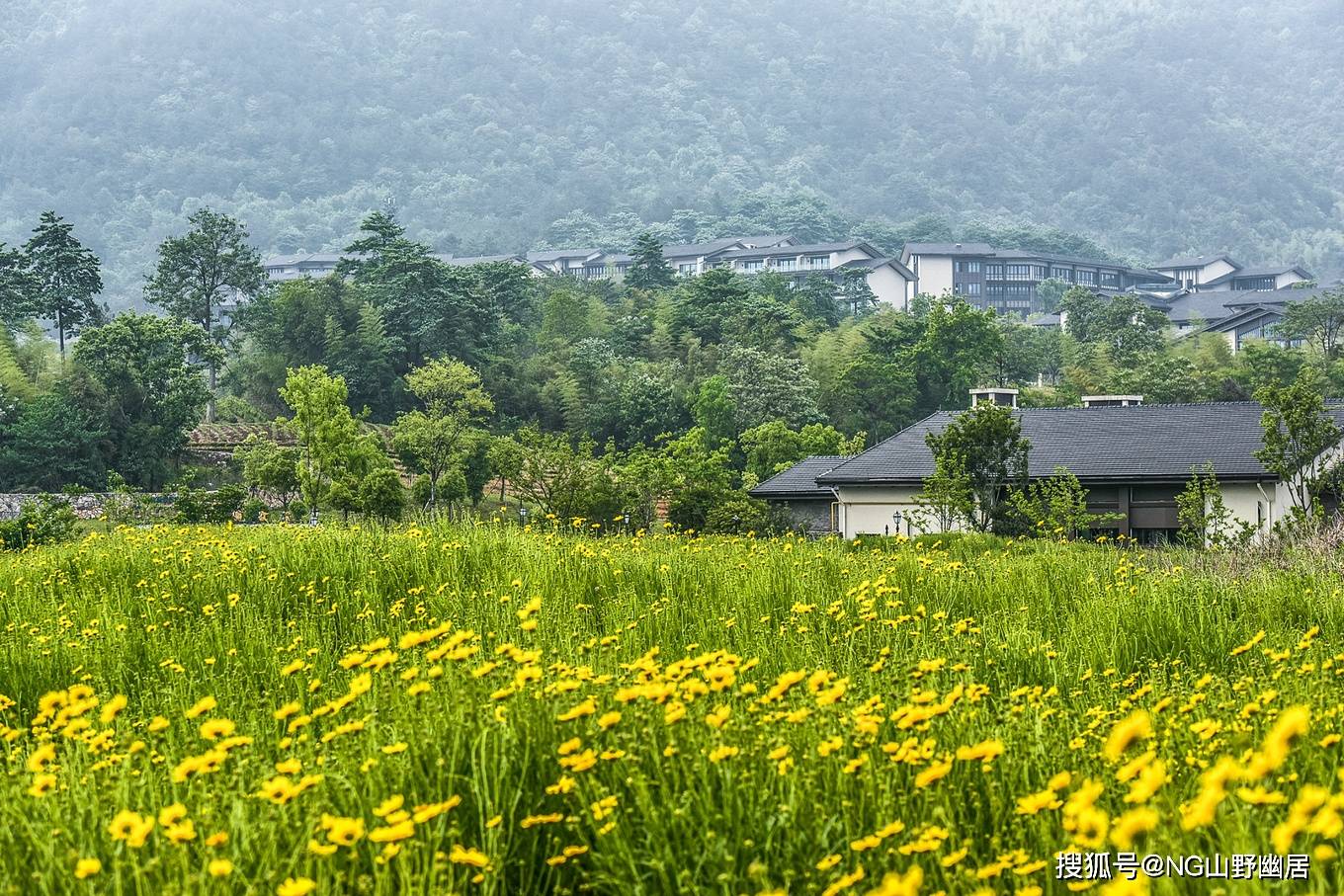 乡村|安吉最大的度假酒店：规模与整个乡村相当，以“一价全包”而走红