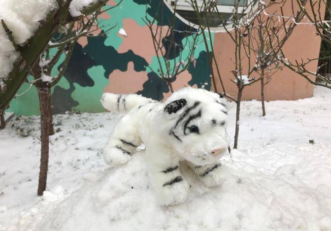 状态 周海媚晒雪中美照，穿居家服凹造型堆雪人，头戴围巾像未过门小媳妇