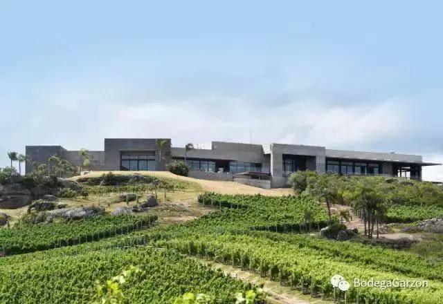 加尔松酒庄巴斯图干红葡萄酒2017!_嘉颂_建筑_认证