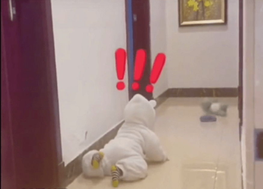 独立|“二胎家庭”的日常太戳心了，哥哥要写作业，下一秒举动充满无奈