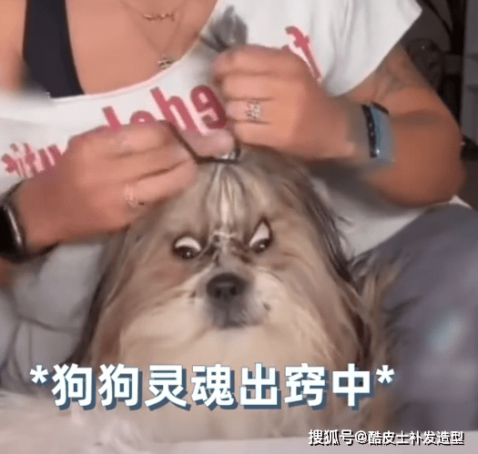 方法扎马尾真的会变秃！头皮紧绷到灵魂出窍，妈妈：紧一点好看
