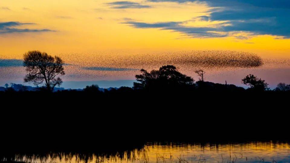 直面冬奥热度,中国家电以冰雪运动创新营销助力-家电圈官网