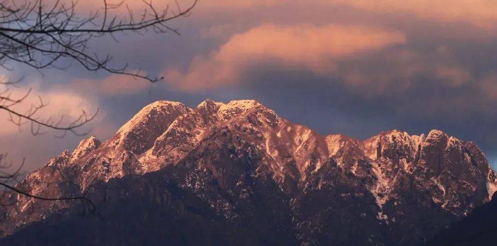 花朵|初春腾冲：油菜花开金灿灿，紫云沫雪白皑皑
