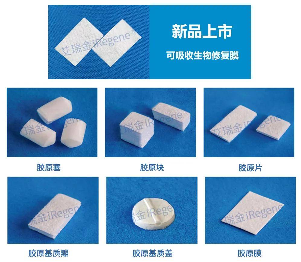 北京湃生生物艾瑞金胶原蛋白海绵项目合作
