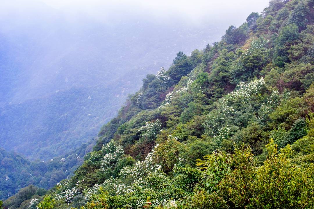 广州|广州“偏远”郊区，虽然山地众多，但景色迷人，被誉为后花园