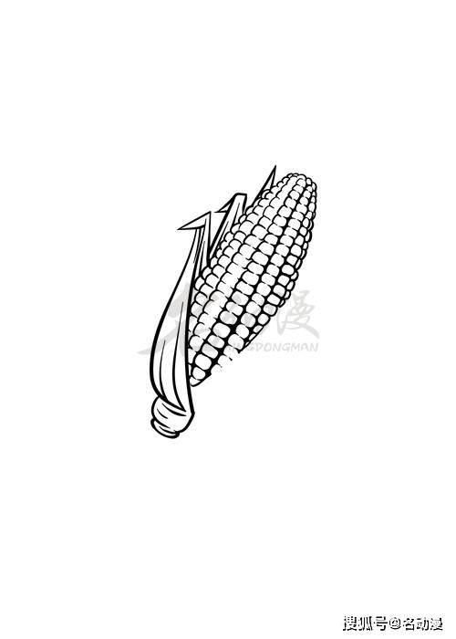 怎么绘画食物玉米