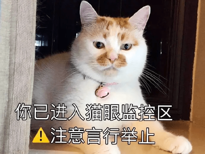 d0c0f338301847659cc903a61b20946c.png