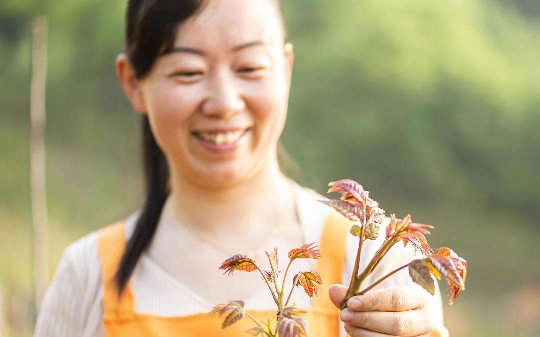 原创
此菜被称为“树上蔬菜”,与荔枝齐名,价格按两算,是土豪的标配