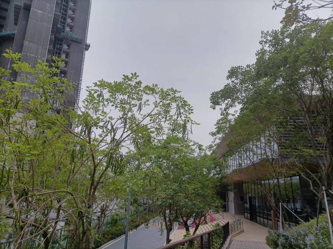 新闻爆料深圳南山玖裕茗院售楼部电话配套图文解析官网