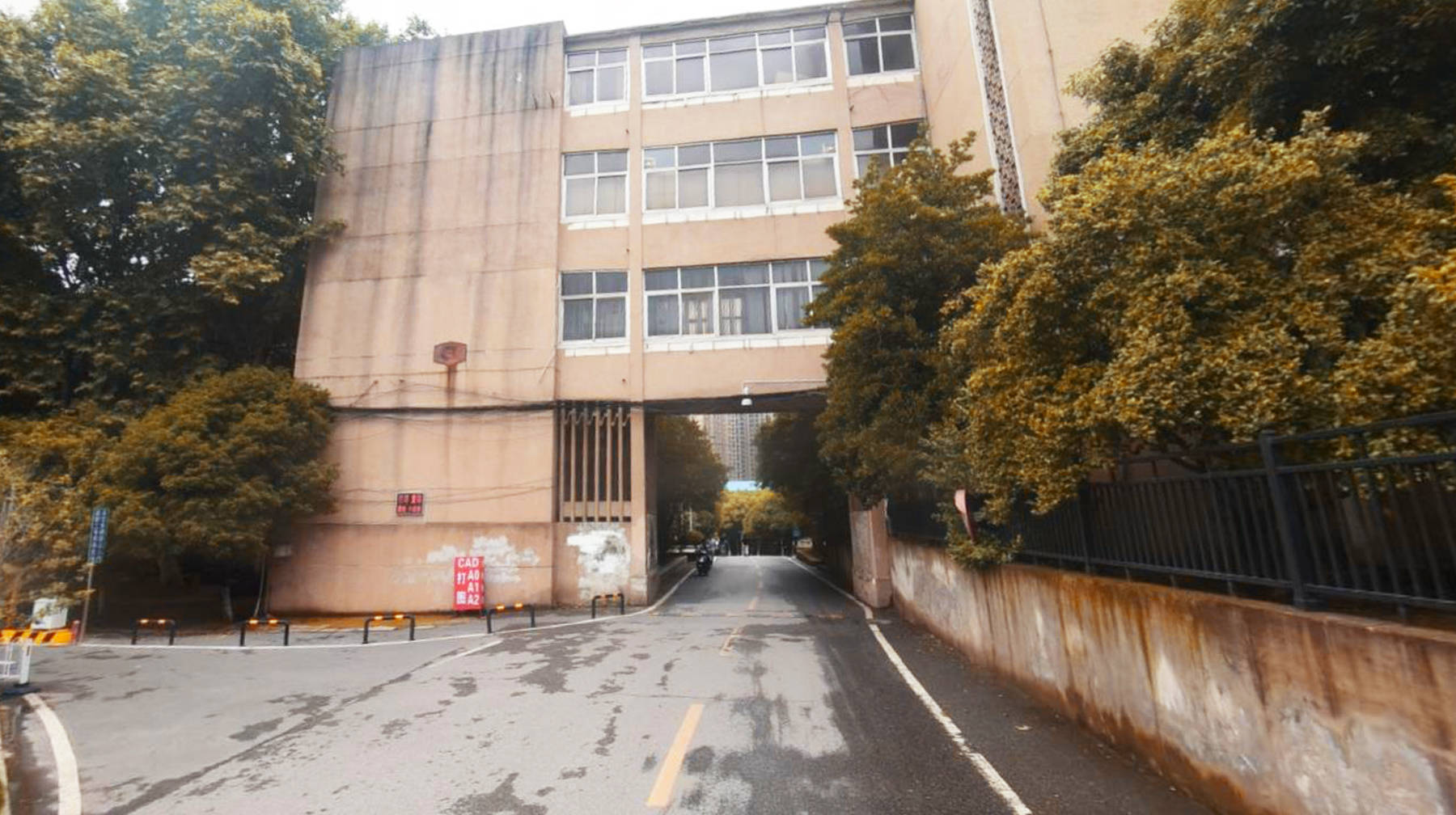 原创穿梭在武汉闹市一所工科高校遍布梧桐树荫老旧教学楼沉淀岁月