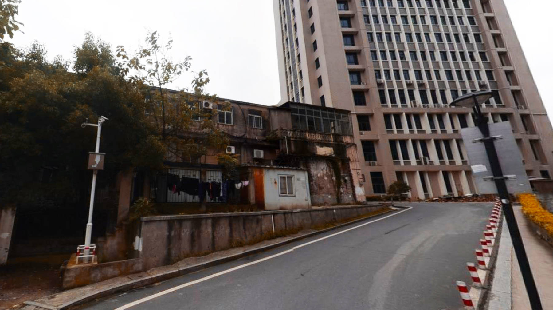 原创穿梭在武汉闹市一所工科高校遍布梧桐树荫老旧教学楼沉淀岁月