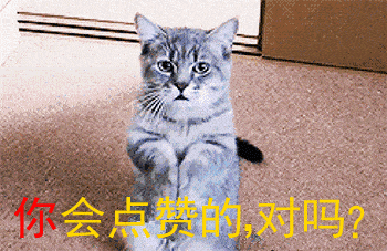 凤九 人气女星：刘亦菲刘诗诗唐嫣鞠婧炜迪丽热巴朱茵，古装造型谁仙？