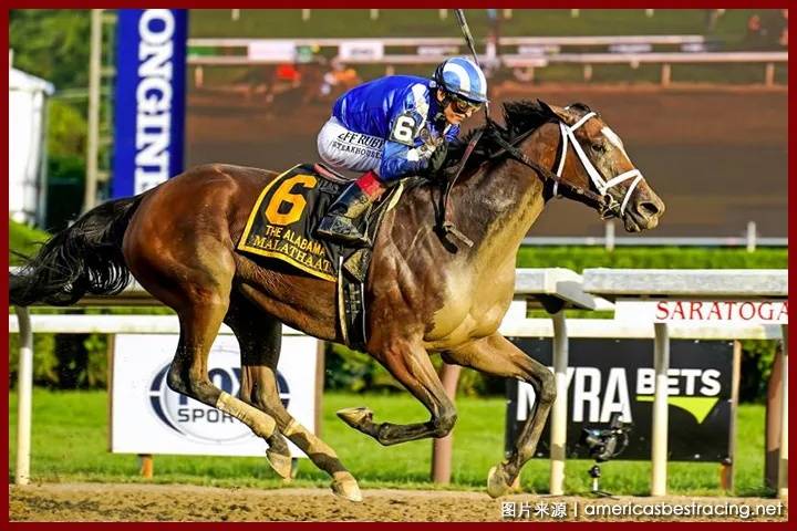 聚星马粮快讯肯塔基橡树盟主当选美国赛马日蚀奖冠军三岁雌马