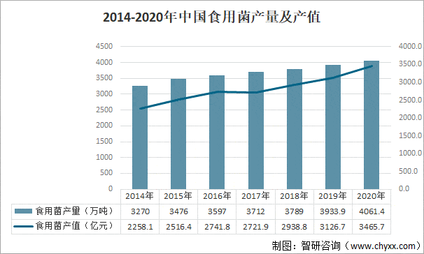 20222028年中國食用菌行業市場調查及未來前景預測報告