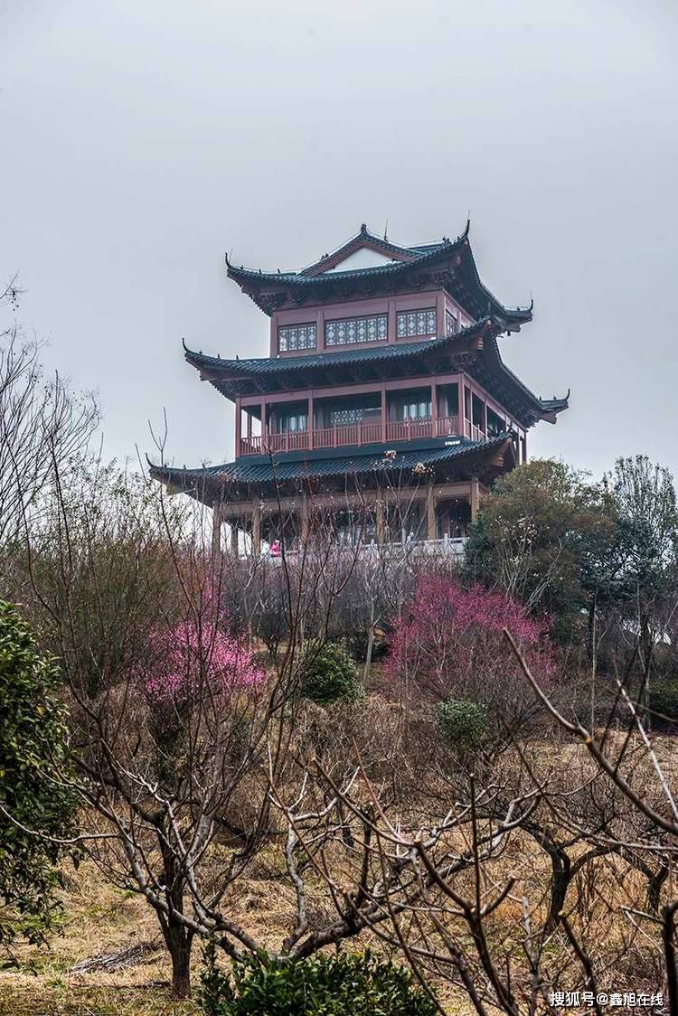 溧水梅园探梅 最是赏梅佳处_傅家边_梅花山_标题
