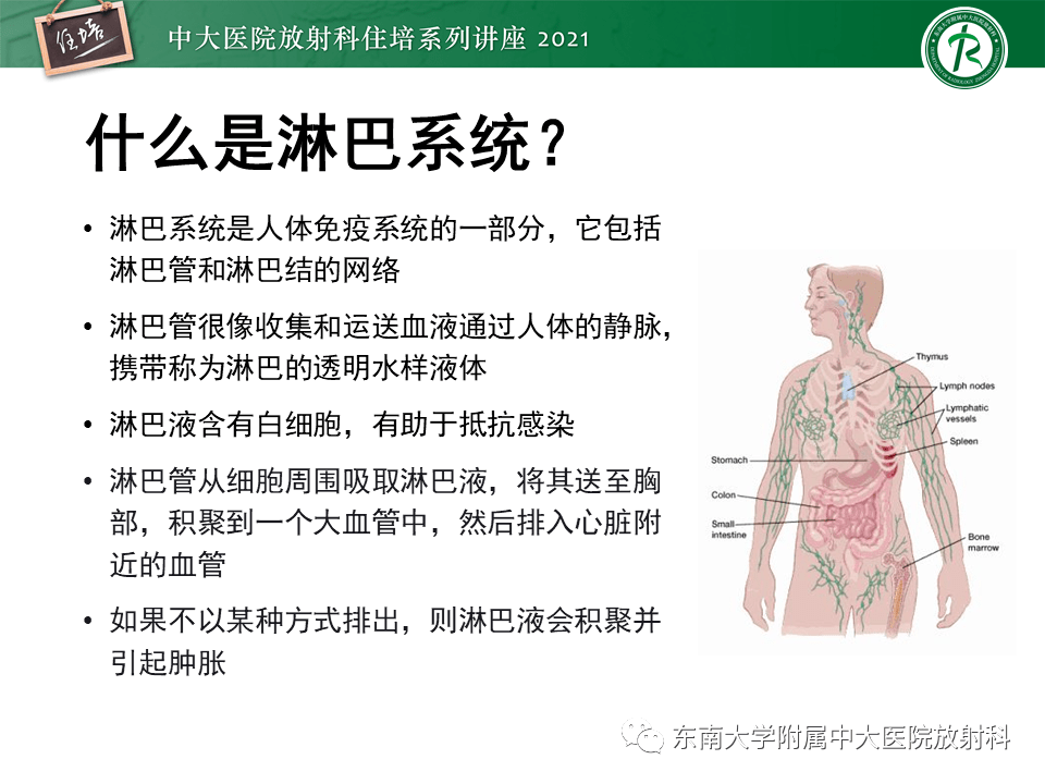 腹部淋巴结分区及影像分析