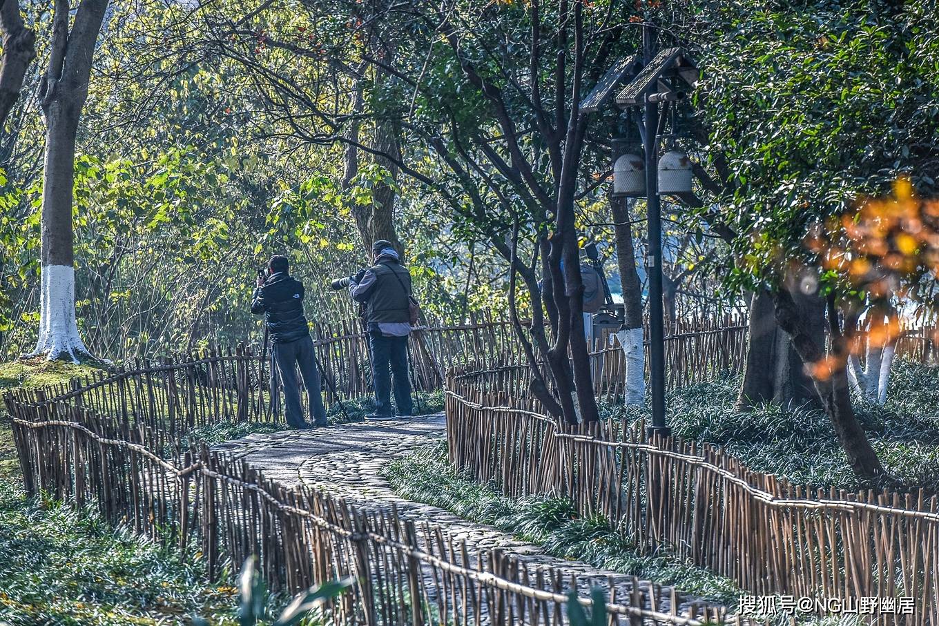 寒冬腊月|反季节的杭州西湖：没有寒冬腊月的萧条，却是春风满面！